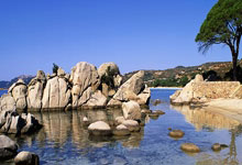 “WNBA球队更换主场,球迷关注新变化”.